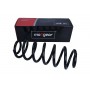 60-0558D MAXGEAR Пружина ходової частини
