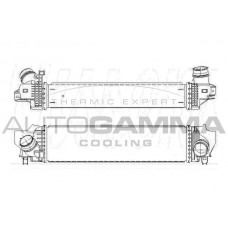 110014 AUTOGAMMA Интеркулер