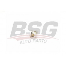 BSG 90-125-002 BSG Термостат охолоджувальна рідина