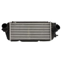 Интеркулер THERMOTEC DA03005TT