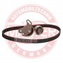 550956320 MASTER-SPORT GERMANY Комплект ременя ГРМ