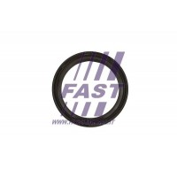 FT49819 FAST Ущільнювальне кільце колінчастий вал