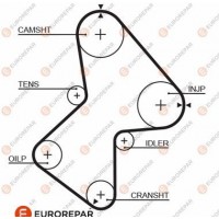 1633142980 EUROREPAR Зубчастий ремінь