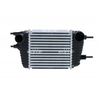 30987 NRF Интеркулер