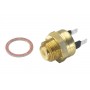 6010.95D BorgWarner (Wahler) Термовимикач вентилятор радіатора