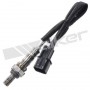 250-24916 WALKER PRODUCTS датчик кисню