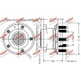 01.98004 AUTOKIT Комплект підшипника ступиці колеса