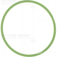 71-40513-00 VICTOR REINZ Прокладка впускного колектора