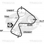 8647 25021 TRISCAN Комплект ременя ГРМ