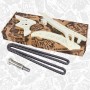 RS0098 ET ENGINETEAM Комплект цілі приводу розподільного валу