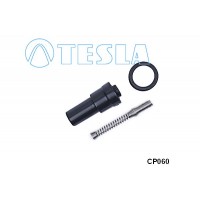 CP060 TESLA Вилка, Свічка запалювання