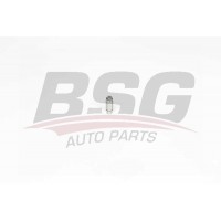 BSG 60-122-003 BSG Толкатель