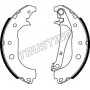 040.166 TRUSTING Комплект гальмівних колодок
