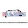 403006N AKS DASIS Компенсаційний бак охолоджувальна рідина