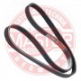 4PK955-PCS-MS MASTER-SPORT GERMANY Поліклиновий ремінь