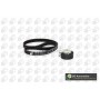 WG1487937 WILMINK GROUP Комплект ременя ГРМ