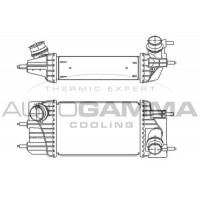 110019 AUTOGAMMA Интеркулер