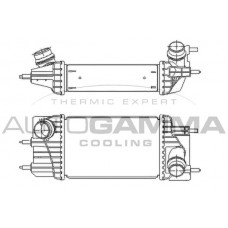110019 AUTOGAMMA Интеркулер