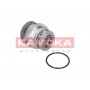 T0249 KAMOKA Водяний насос охолодження двигуна