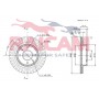 RD00143 RAICAM Гальмівний диск