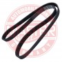 6PK1250-PCS-MS MASTER-SPORT GERMANY Поліклиновий ремінь