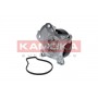 T0262 KAMOKA Водяний насос охолодження двигуна