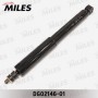 DG02146-01 MILES Амортизатор