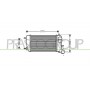 CI304N001 PRASCO Интеркулер