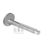 TED39597 TEDGUM Болт регулювання розвалу коліс