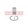 5600037 KAMOKA Комплект підшипника ступиці колеса