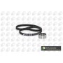 WG1487987 WILMINK GROUP Комплект ременя ГРМ