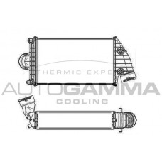 Интеркулер AUTOGAMMA 105453