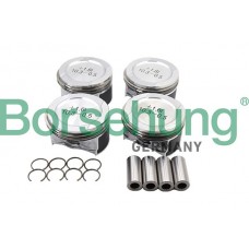 B16955 Borsehung Комплект поршневих кілець