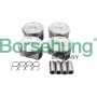 B16955 Borsehung Комплект поршневих кілець