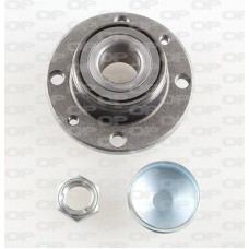 HBK5020.02 OPEN PARTS Комплект підшипника ступиці колеса