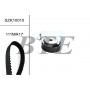 SZK10010 BTE Комплект ременя ГРМ