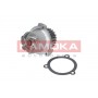 T0172 KAMOKA Водяний насос охолодження двигуна
