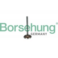 впускний клапан Borsehung B19030