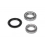 WBK-6523 KAVO PARTS Комплект підшипника ступиці колеса