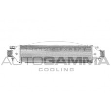 Интеркулер AUTOGAMMA 105296