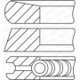 WG1736176 WILMINK GROUP Комплект поршневих кілець