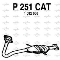 P251CAT FENNO Катализатор