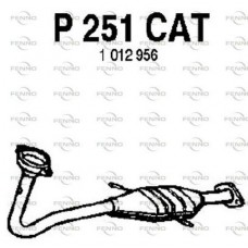 P251CAT FENNO Катализатор