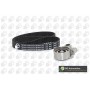 WG1488060 WILMINK GROUP Комплект ременя ГРМ