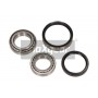 33-0101 MAXGEAR Комплект підшипника ступиці колеса