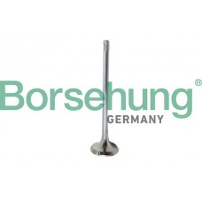 випускний клапан Borsehung B10321