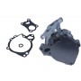 47-0253 MAXGEAR Водяний насос охолодження двигуна