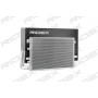 448C0166 RIDEX Конденсатор кондиціонера