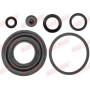 114-0257 QUICK BRAKE Ремкомплект, Гальмівний супорт