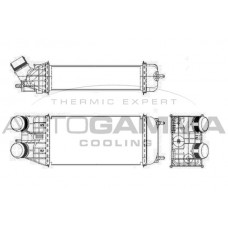 Интеркулер AUTOGAMMA 105995